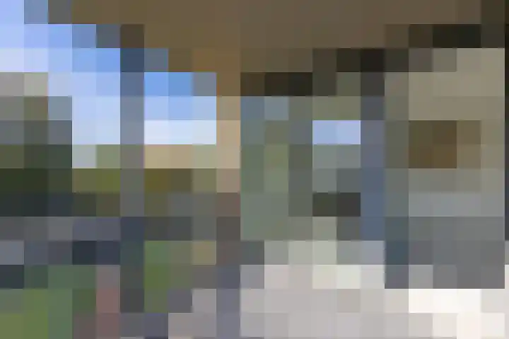De Brink 316 Zutphen thumbnail 12