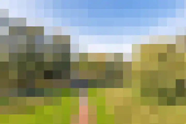 De Brink 316 Zutphen thumbnail 13