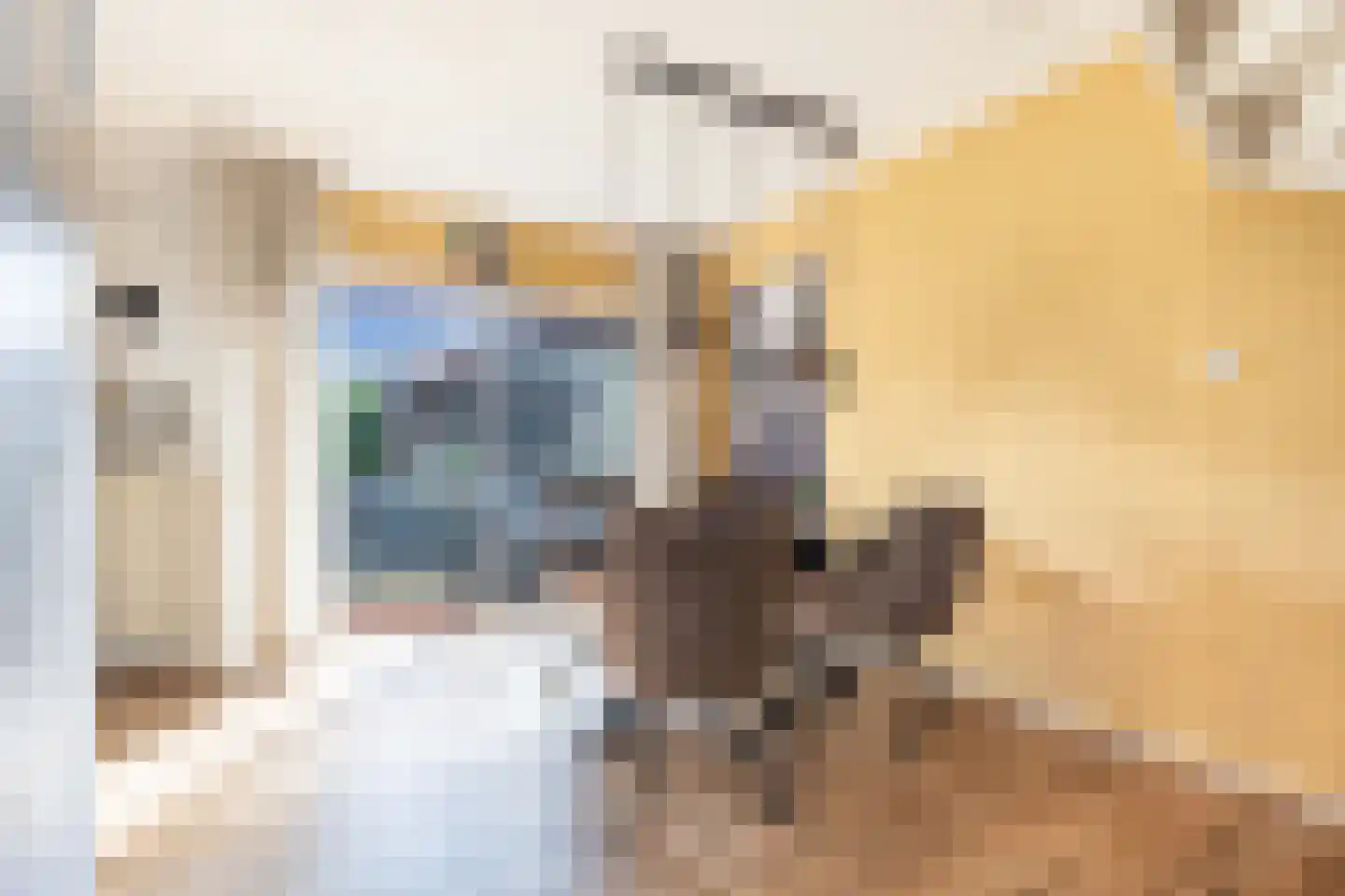 De Brink 32 Boijl thumbnail 11