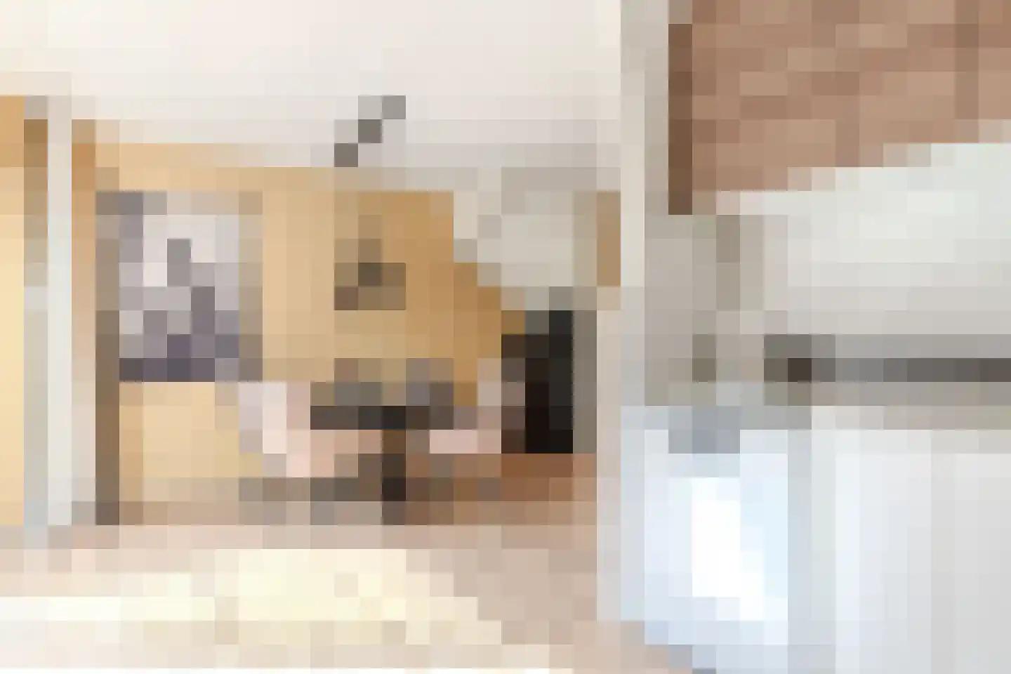 De Brink 32 Boijl thumbnail 15