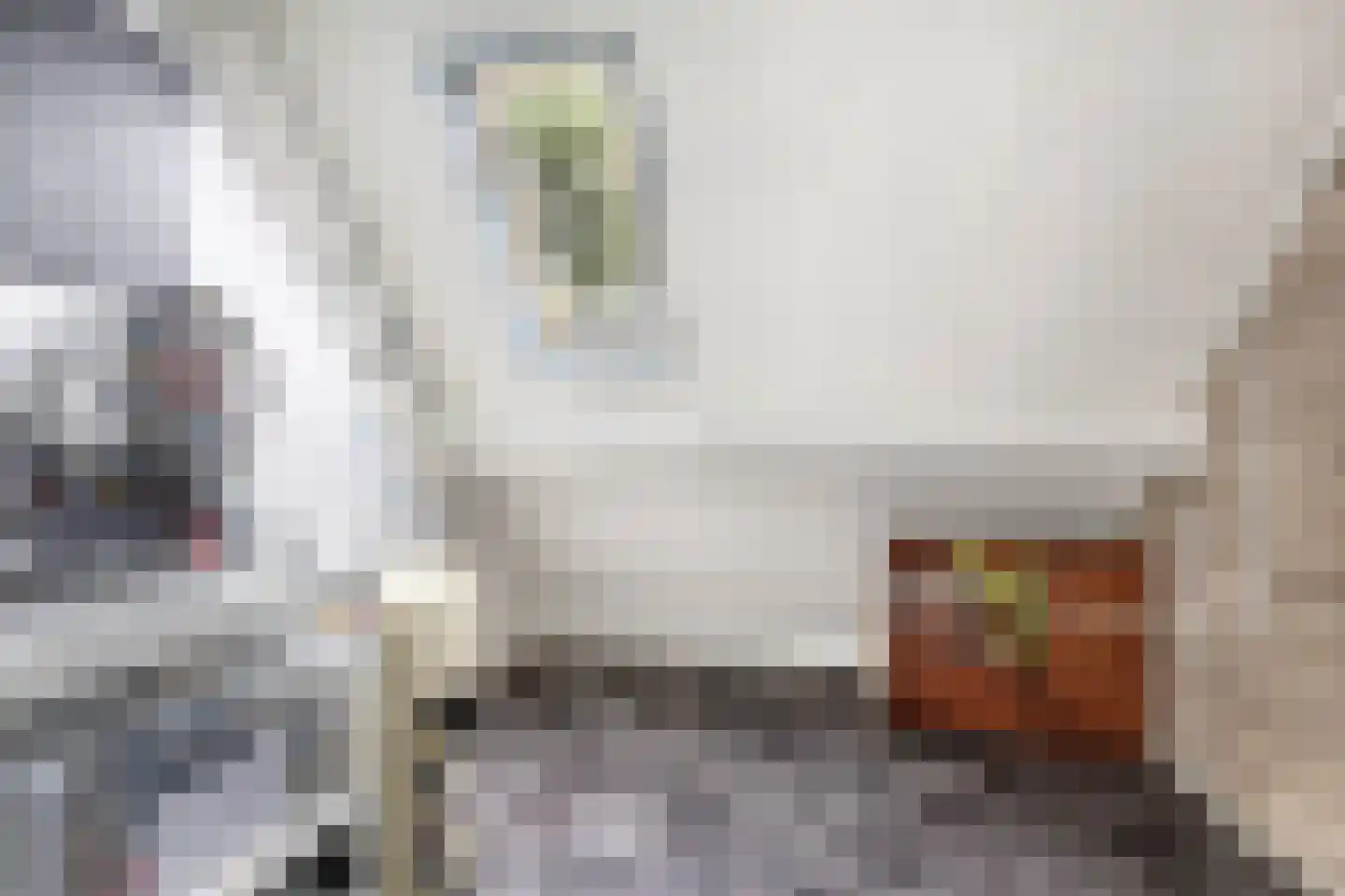 De Brink 32 Boijl thumbnail 19