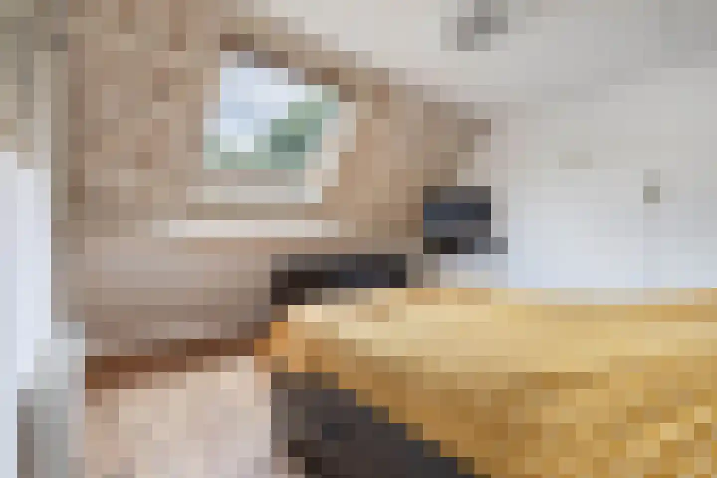 De Brink 32 Boijl thumbnail 22