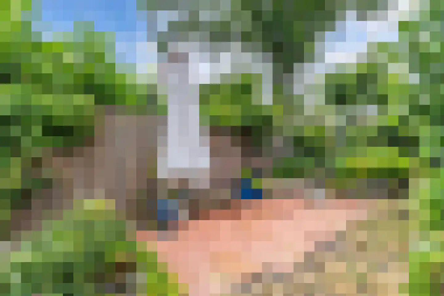 De Brink 32 Boijl thumbnail 30