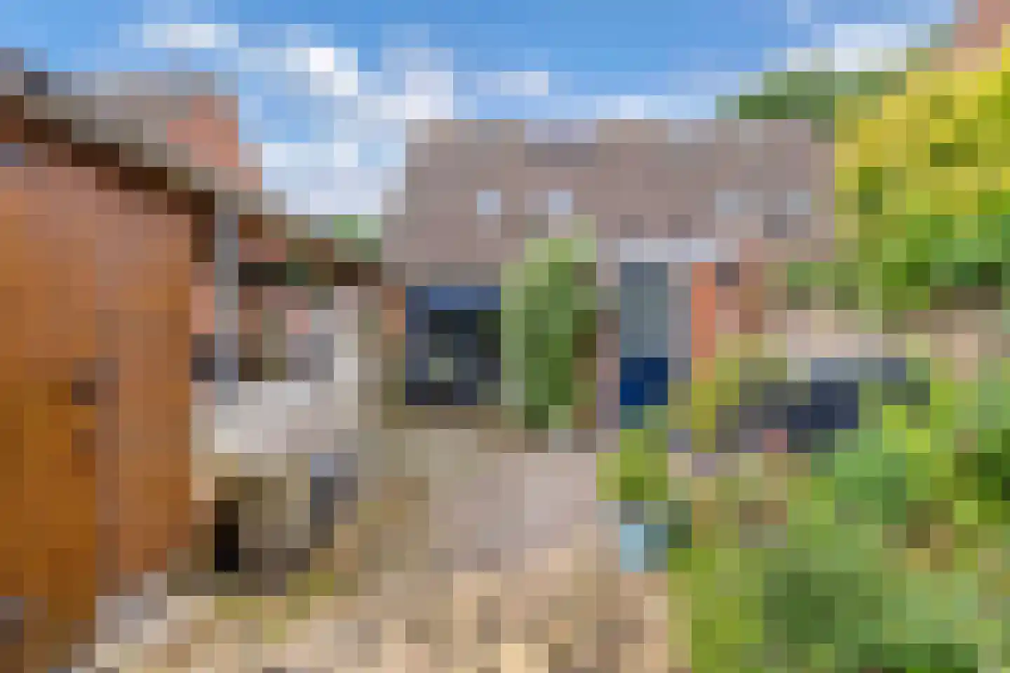 De Brink 32 Boijl thumbnail 35
