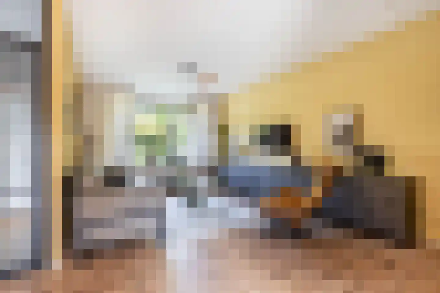 De Brink 32 Boijl thumbnail 8