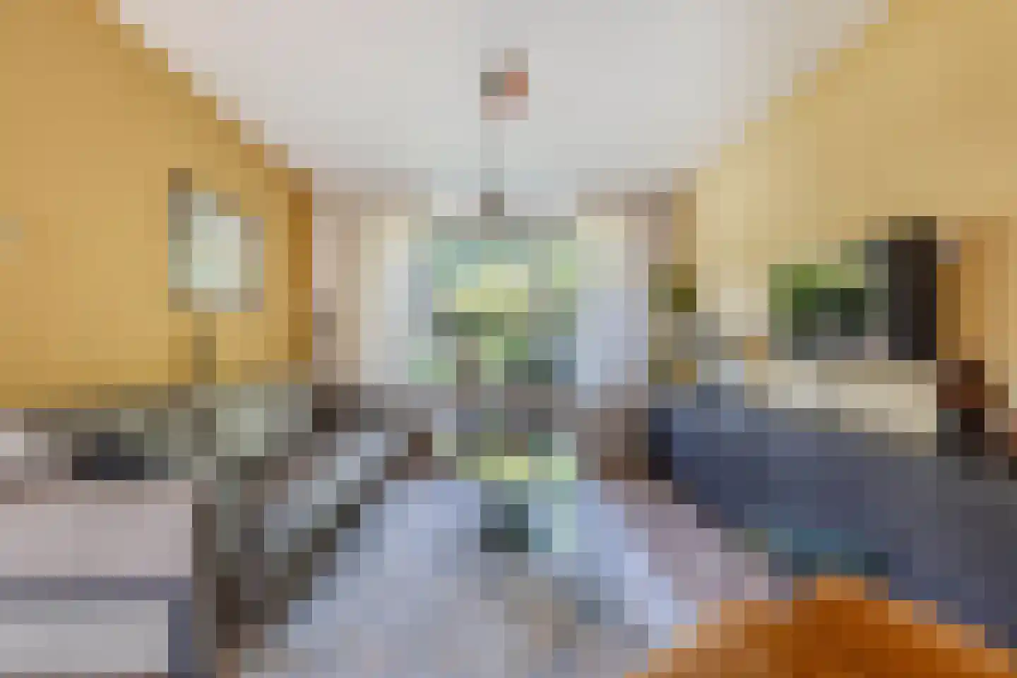 De Brink 32 Boijl thumbnail 9