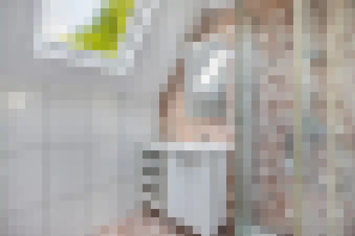 De Brink 34 Boijl thumbnail 24