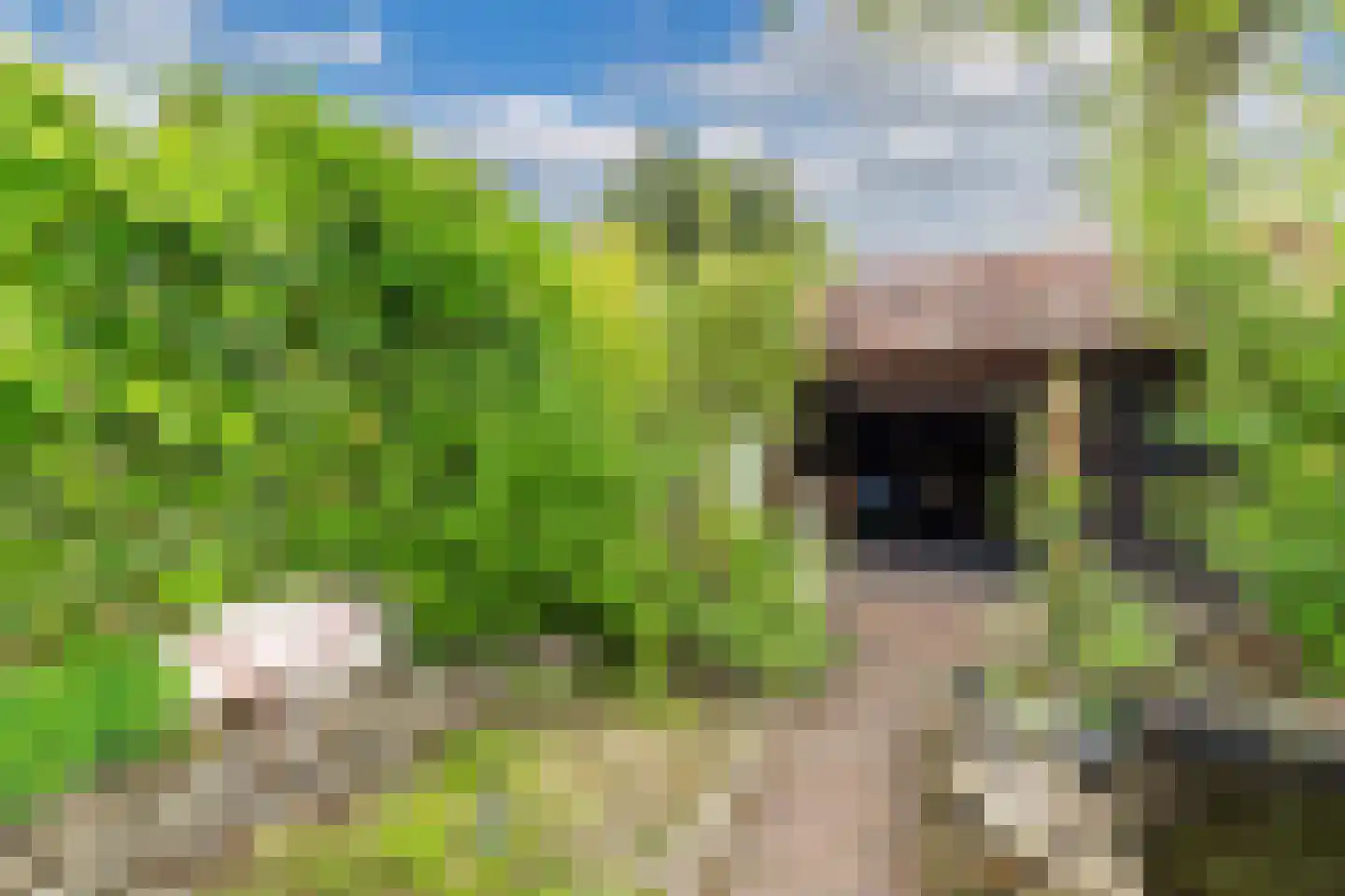 De Brink 34 Boijl thumbnail 30