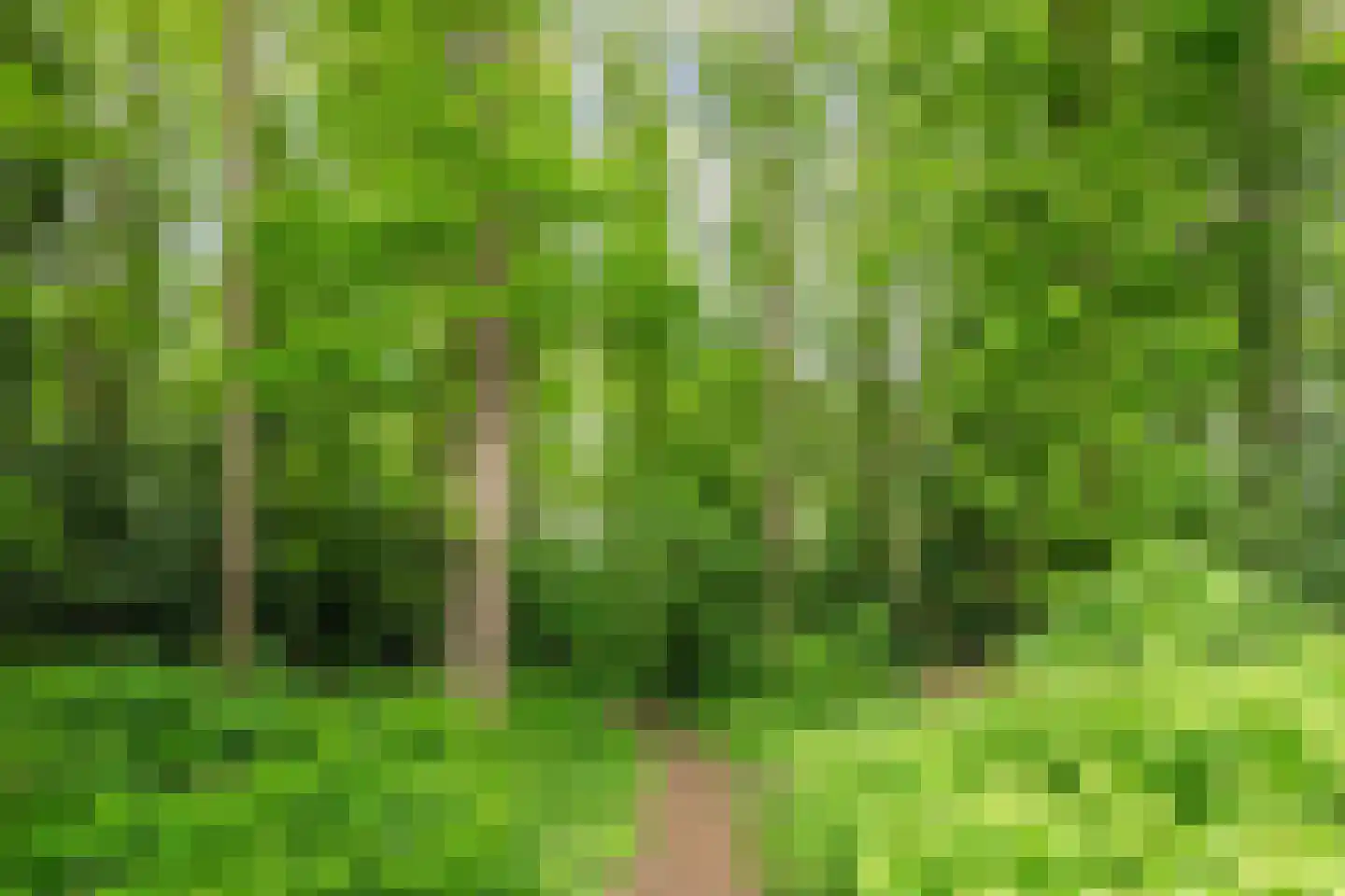 De Brink 34 Boijl thumbnail 33