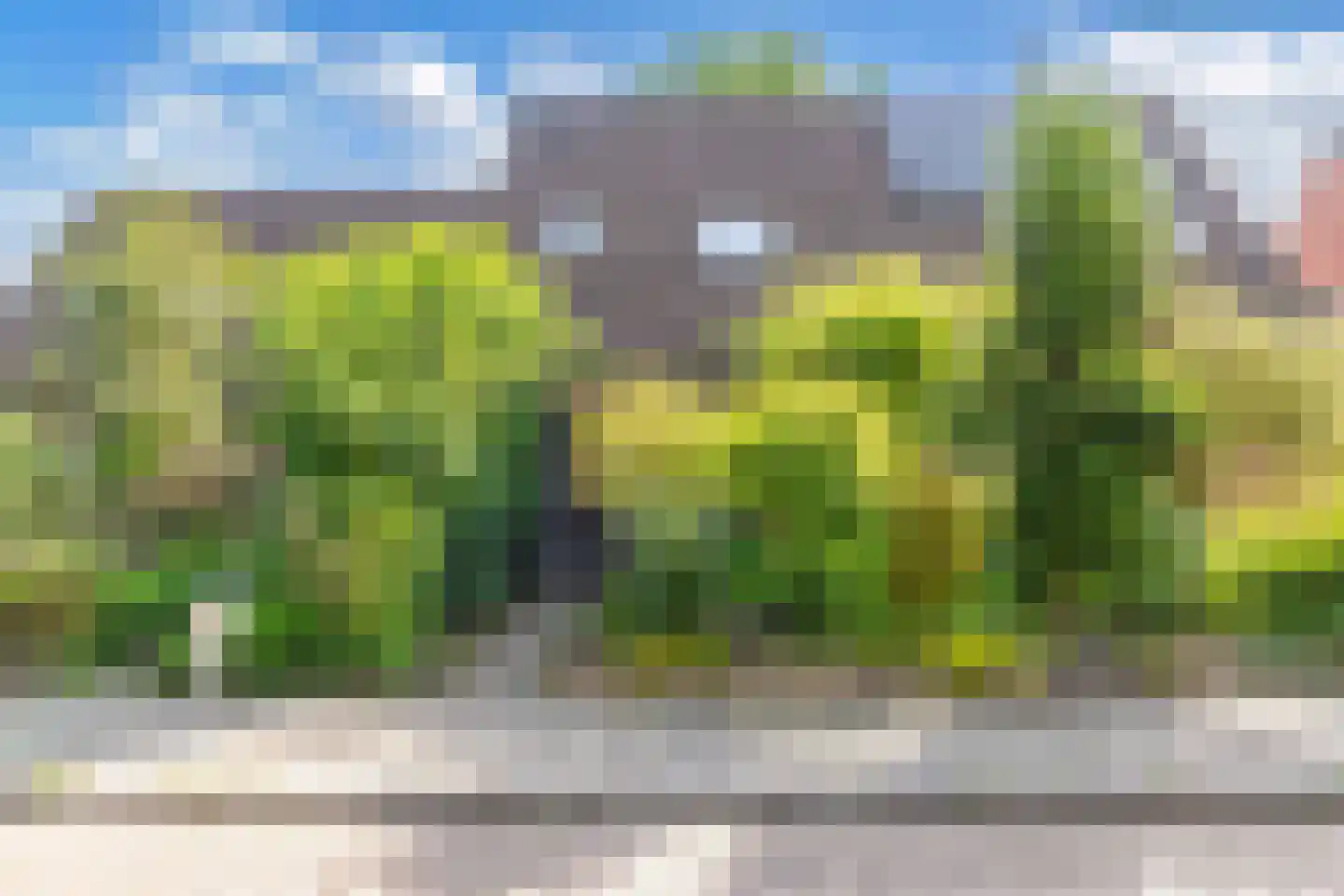 De Brink 34 Boijl thumbnail 38