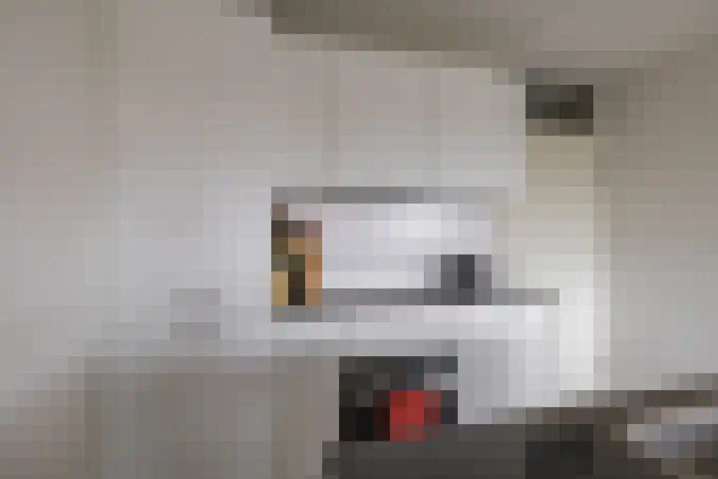 De Brink 38 Groningen thumbnail 13