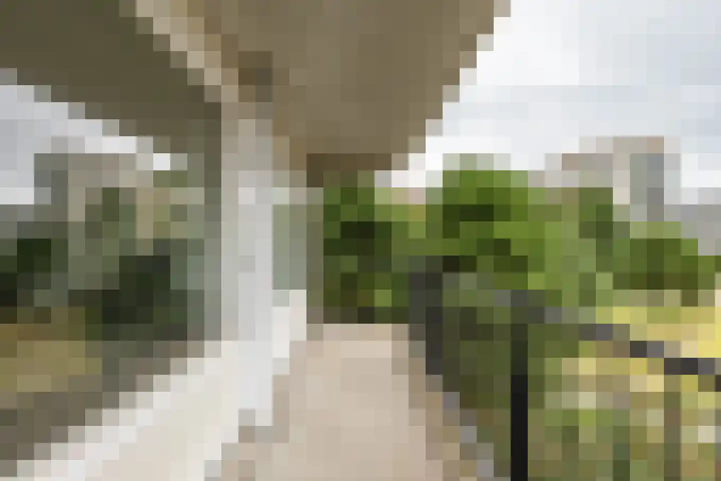 De Brink 38 Groningen thumbnail 20