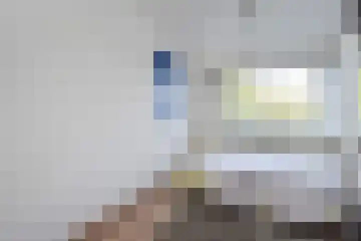 De Brink 384 Den Haag thumbnail 27