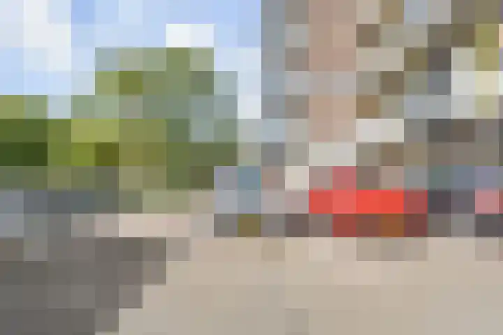 De Brink 384 Den Haag thumbnail 33