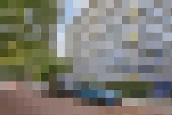 De Brink 384 Den Haag thumbnail 5