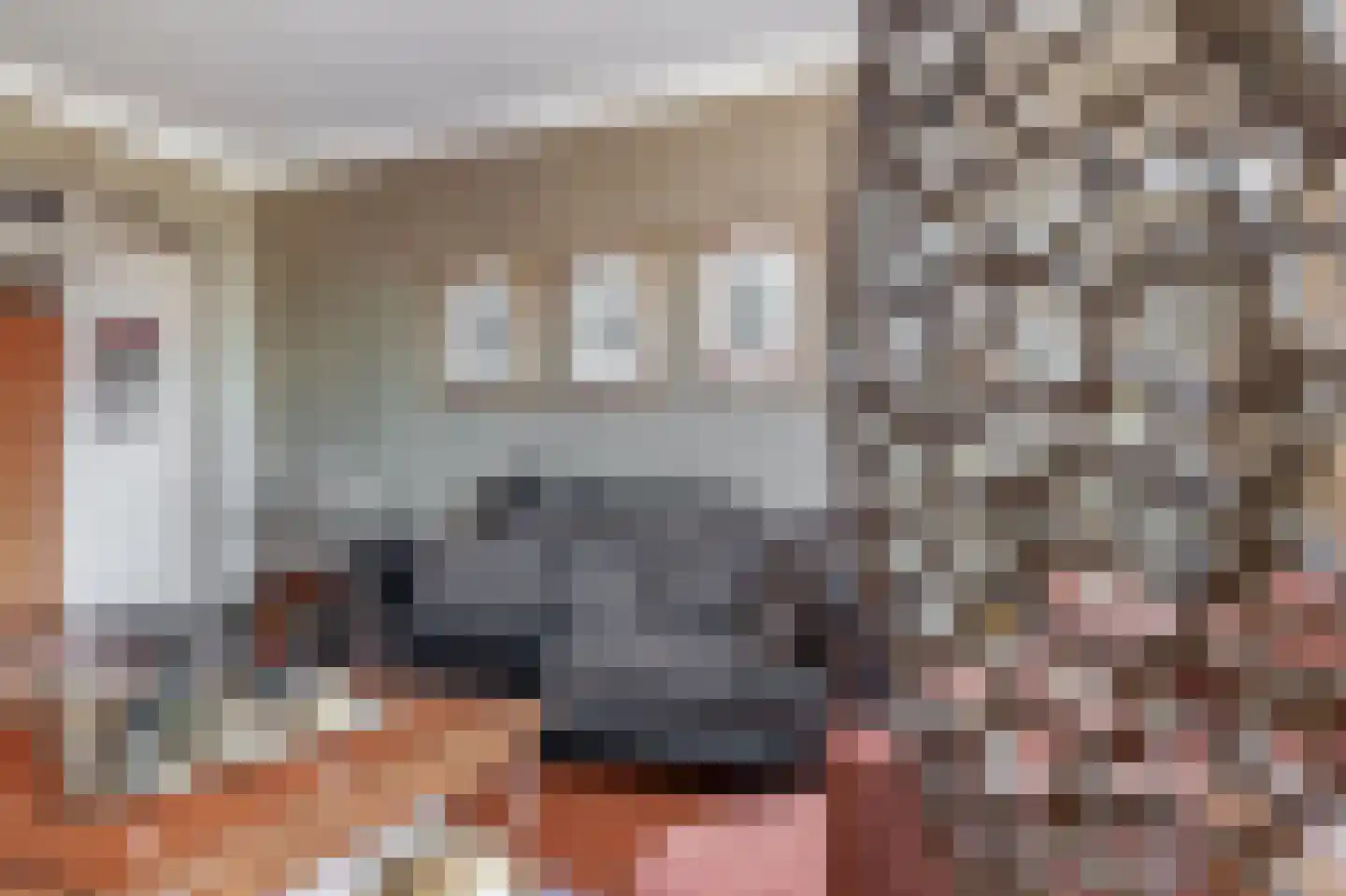 de Brink 41 Losser thumbnail 14