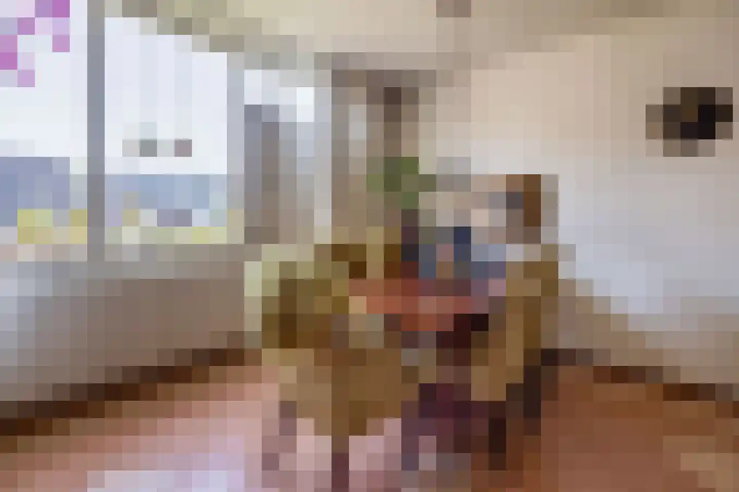 de Brink 41 Losser thumbnail 18
