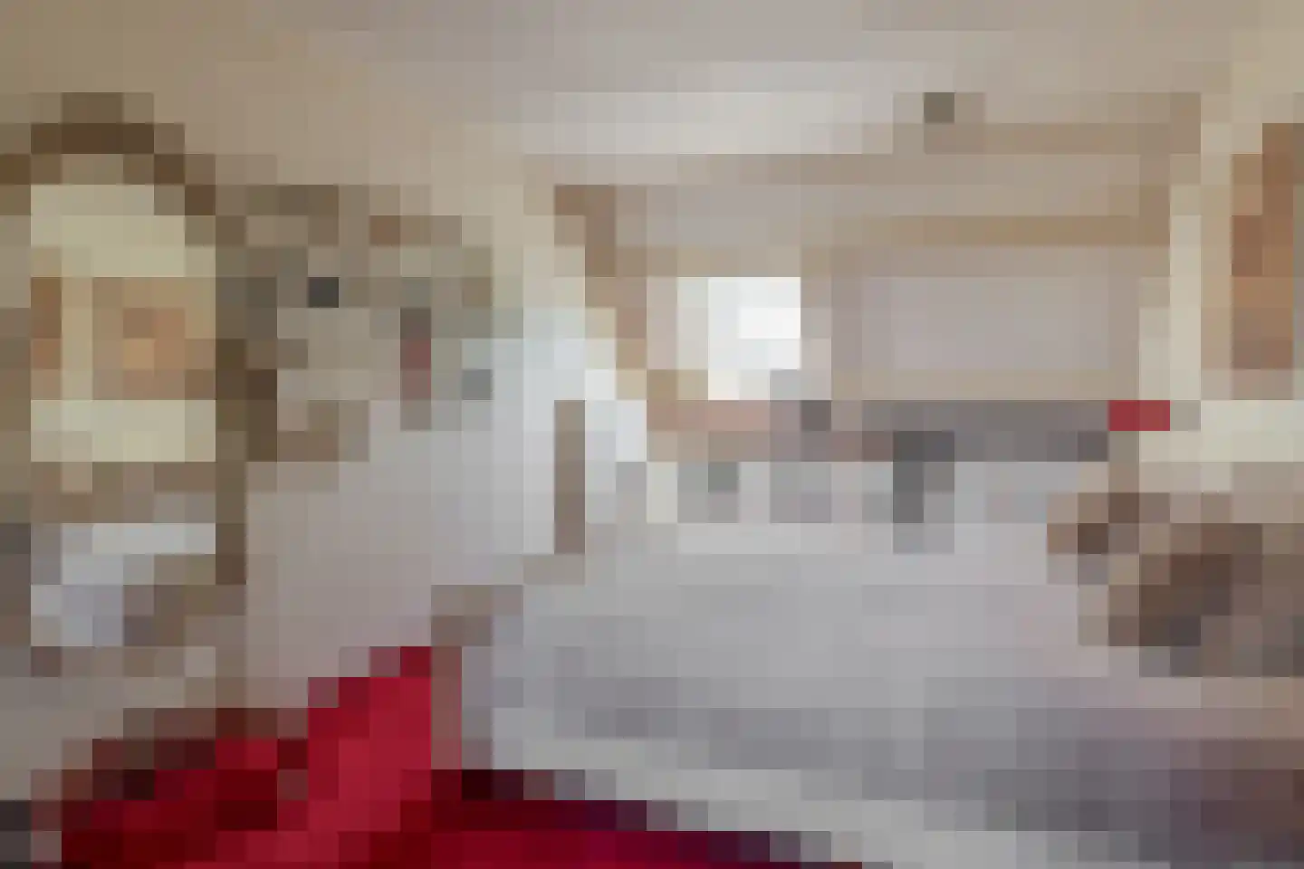 de Brink 41 Losser thumbnail 23