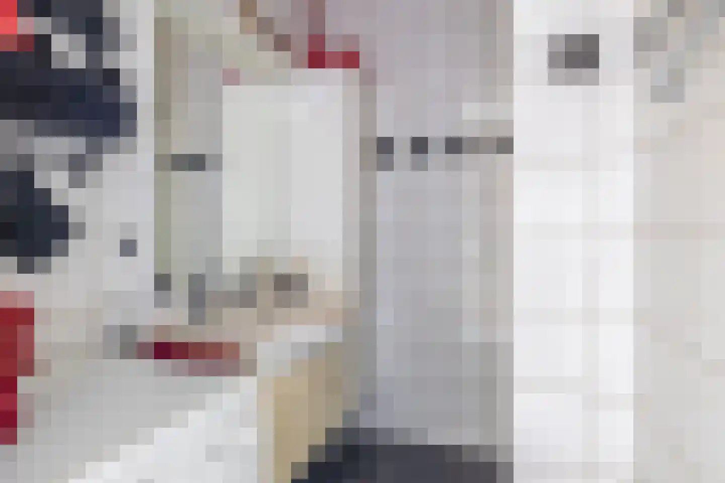 de Brink 41 Losser thumbnail 25