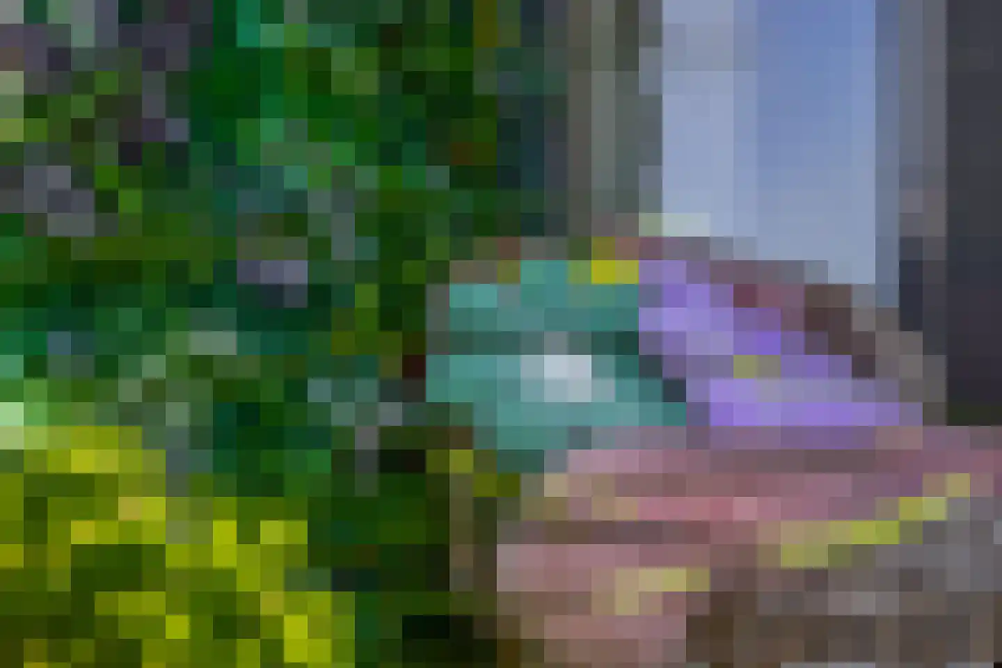 de Brink 41 Losser thumbnail 28