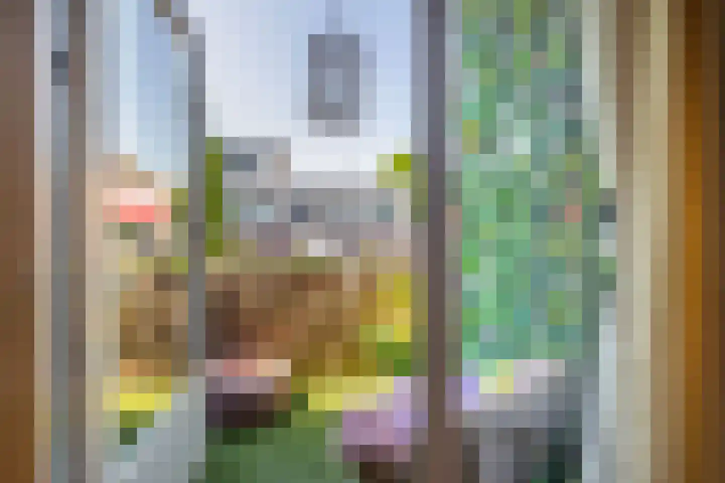 de Brink 41 Losser thumbnail 9