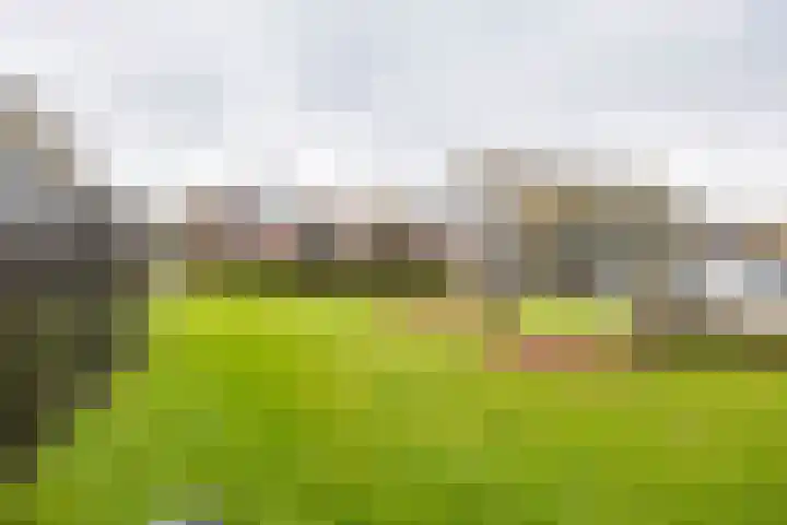 De Brink 44 Groningen thumbnail 30