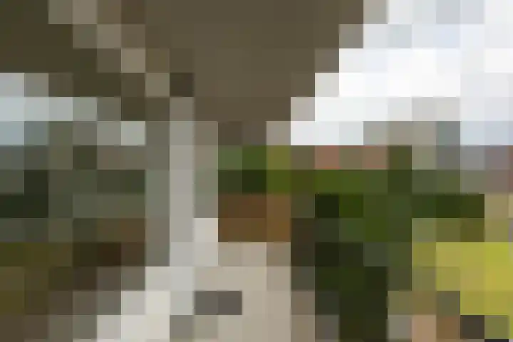 De Brink 46 Groningen thumbnail 26