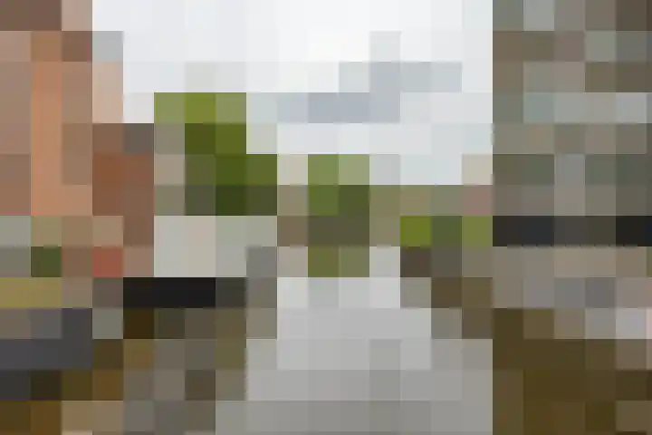 De Brink 46 Groningen thumbnail 27
