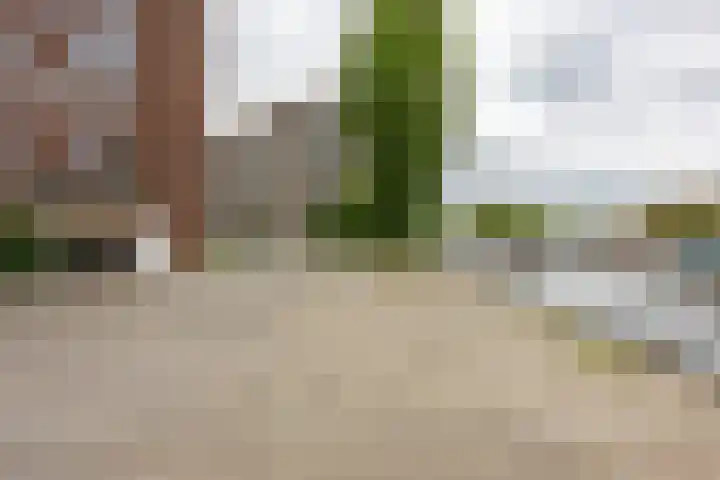 De Brink 46 Groningen thumbnail 28