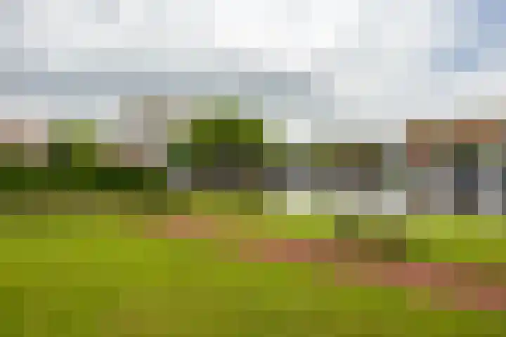 De Brink 46 Groningen thumbnail 5