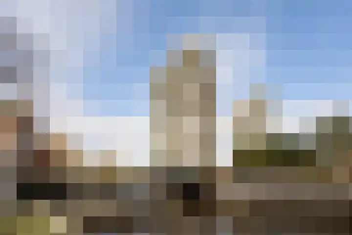 De Brink 46 Groningen thumbnail 6