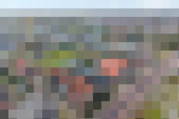 De Brink 46 Hardenberg thumbnail 5