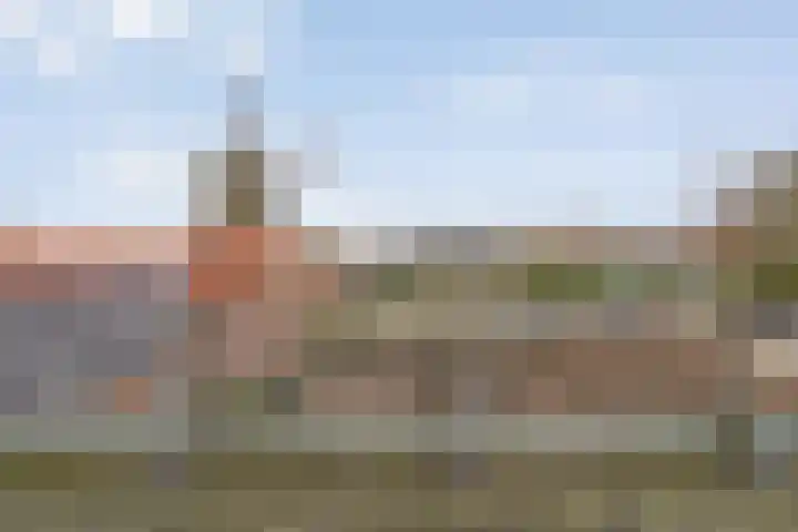 De Brink 46 Hardenberg thumbnail 57
