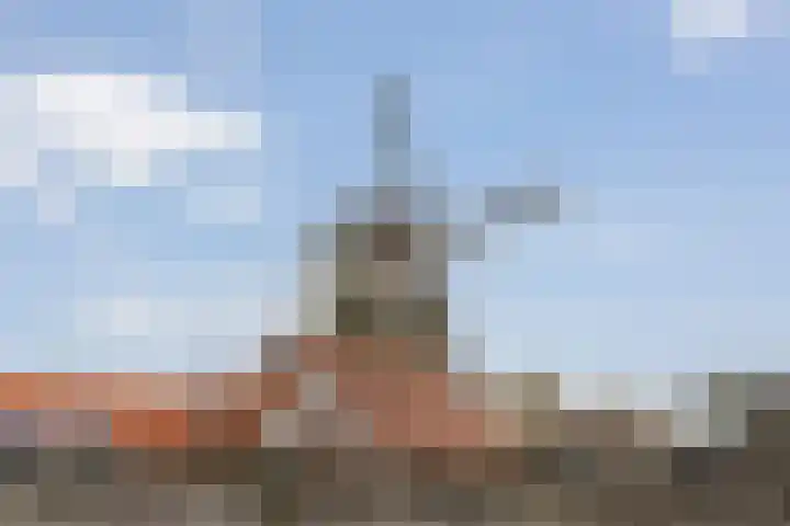 De Brink 46 Hardenberg thumbnail 58