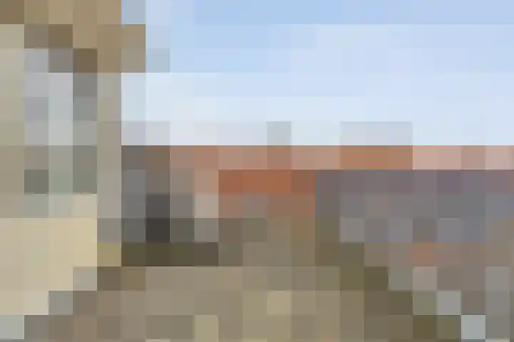 De Brink 46 Hardenberg thumbnail 59