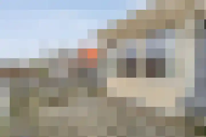 De Brink 46 Hardenberg thumbnail 60