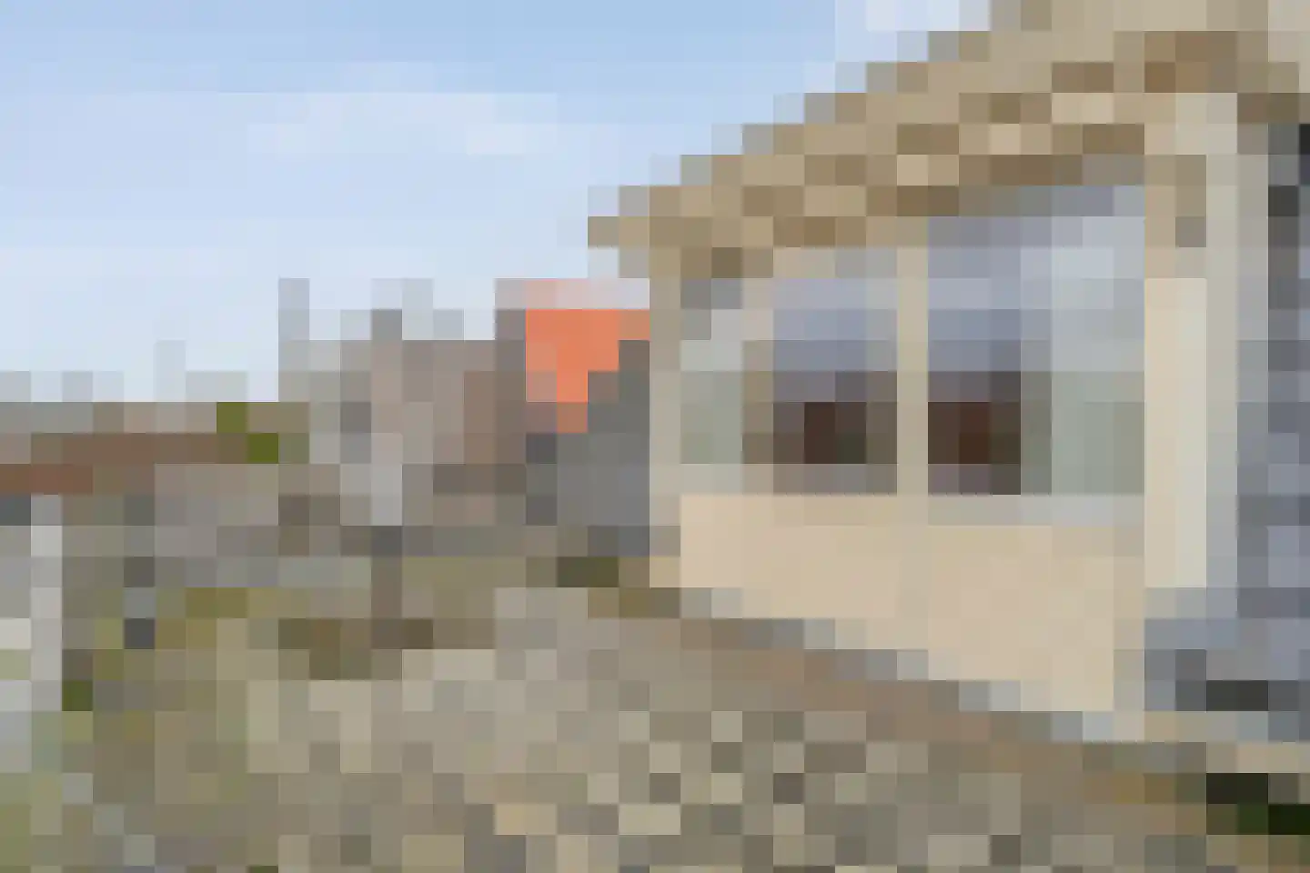 De Brink 46 Hardenberg thumbnail 61