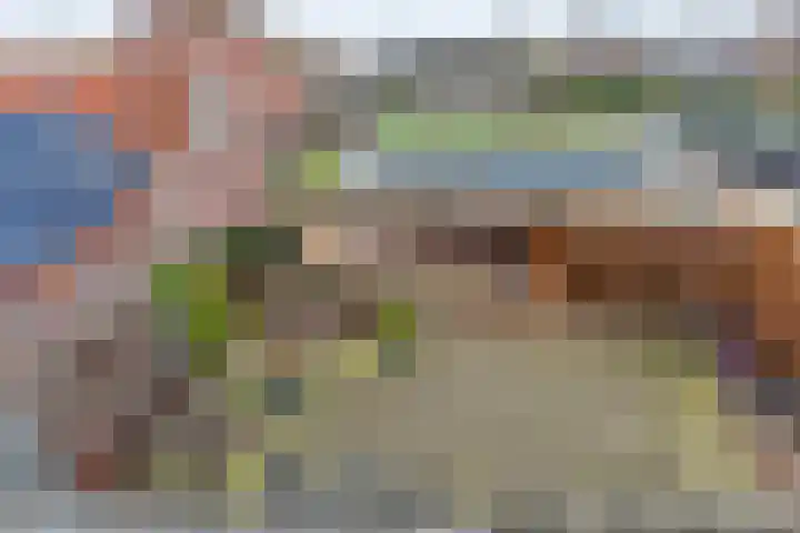 De Brink 46 Hardenberg thumbnail 61