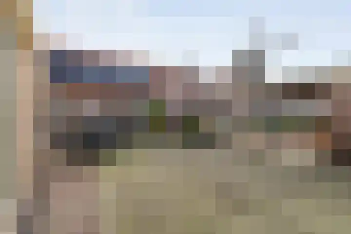 De Brink 46 Hardenberg thumbnail 63