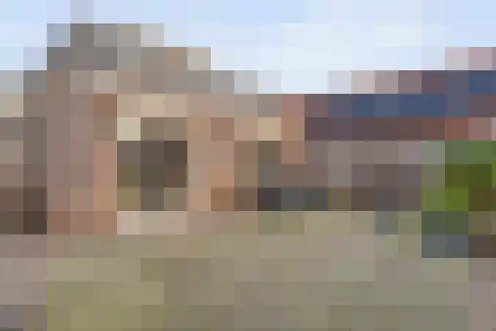 De Brink 46 Hardenberg thumbnail 64