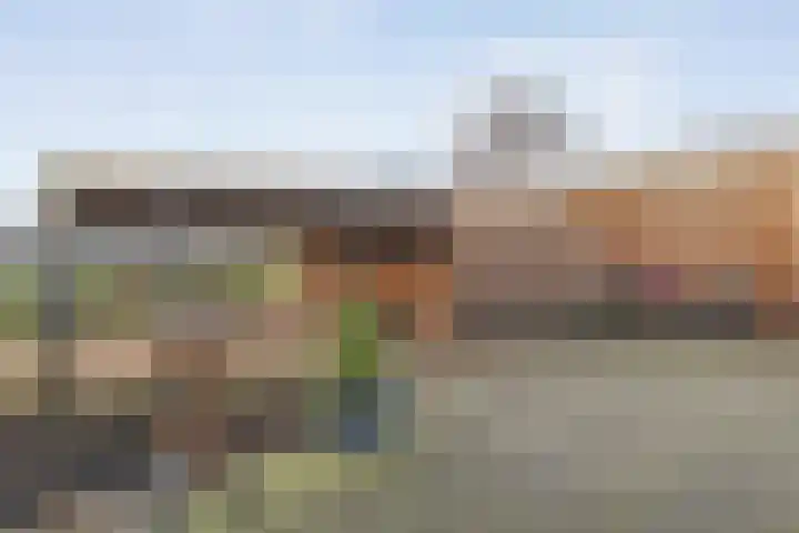 De Brink 46 Hardenberg thumbnail 66