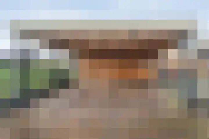 De Brink 46 Hardenberg thumbnail 69