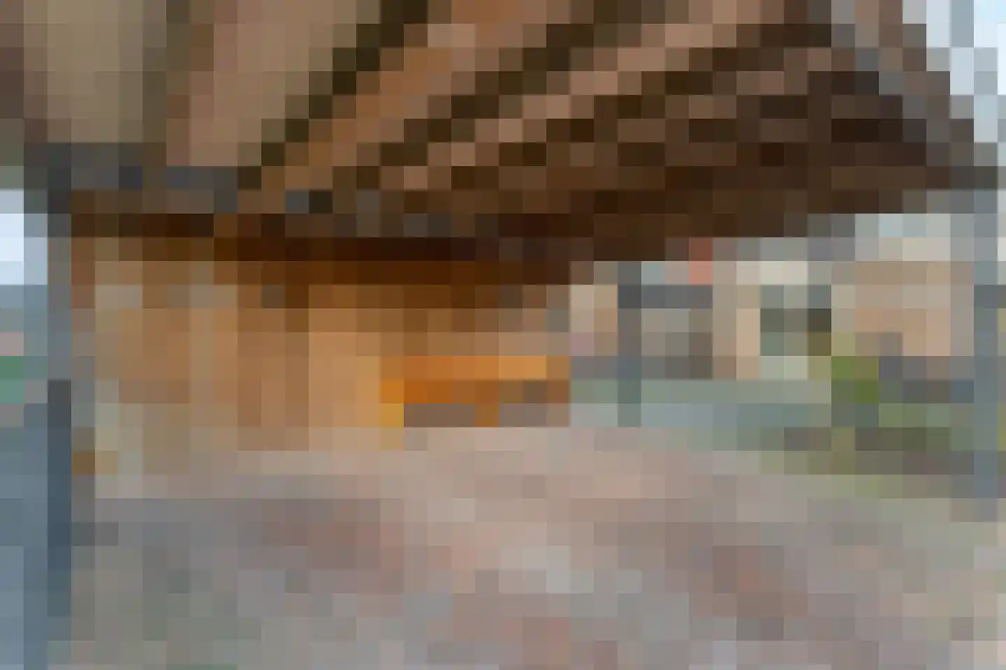De Brink 46 Hardenberg thumbnail 70