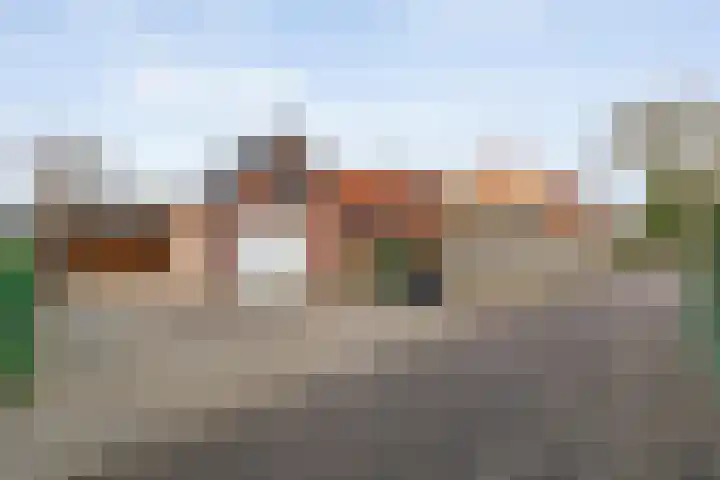 De Brink 46 Hardenberg thumbnail 71