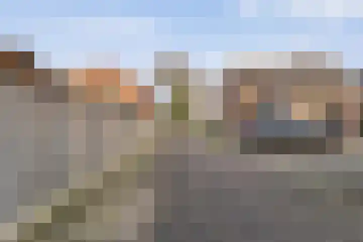 De Brink 46 Hardenberg thumbnail 72