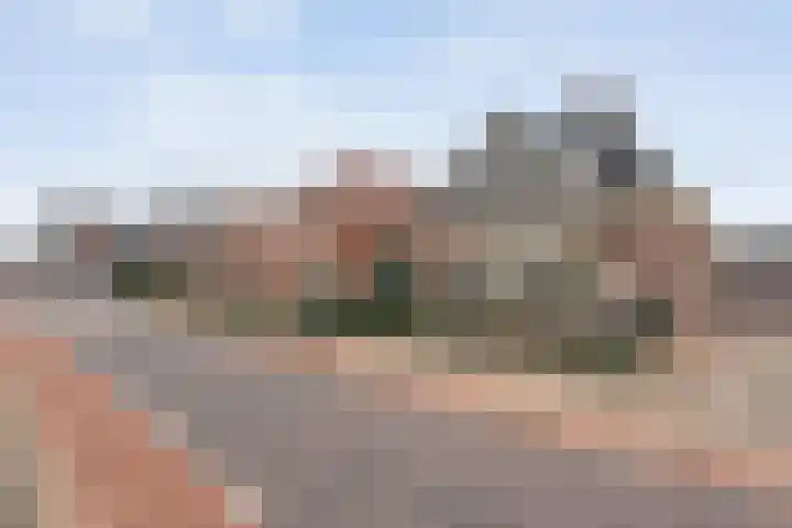 De Brink 46 Hardenberg thumbnail 8