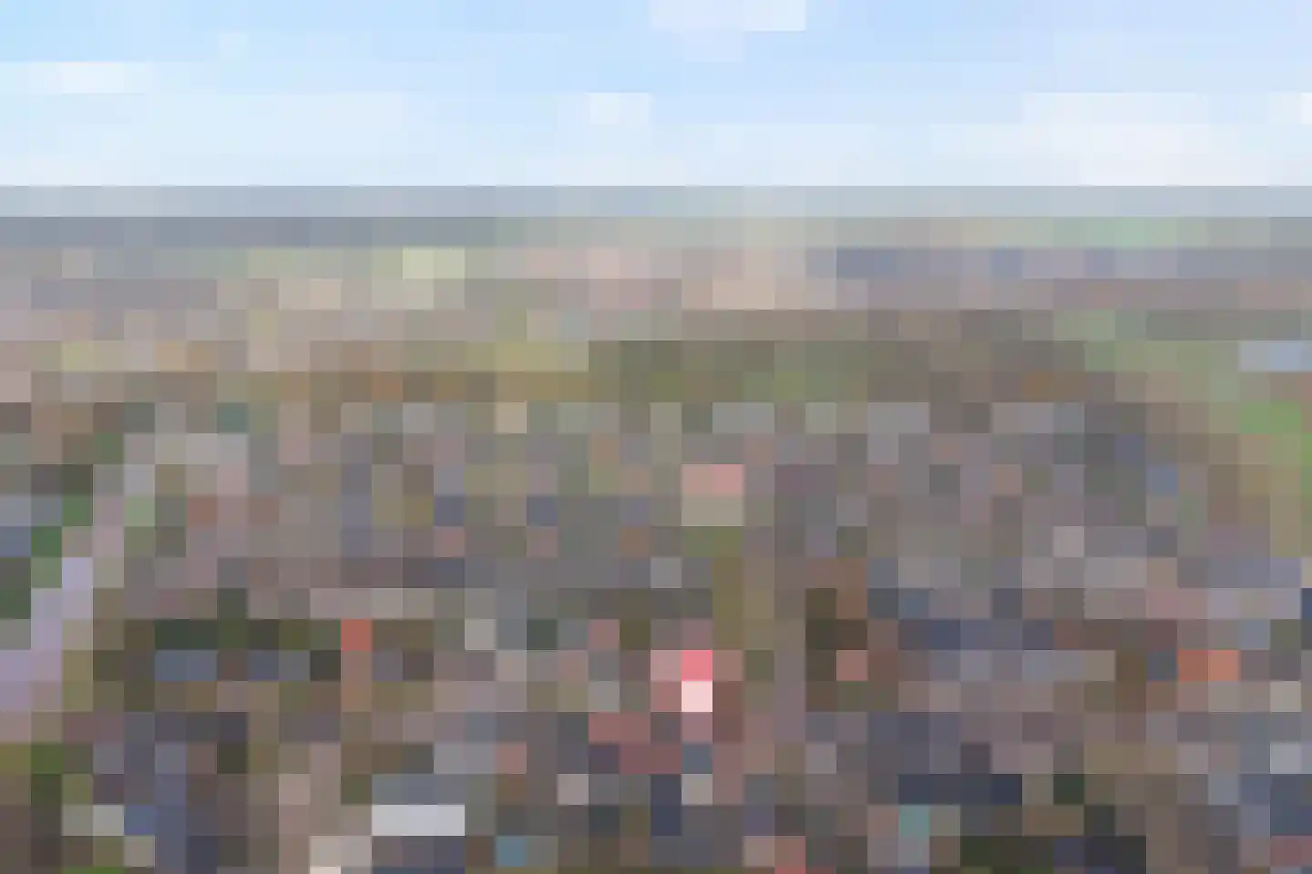 De Brink 46 Hardenberg thumbnail 8