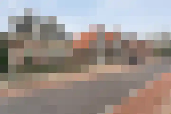 De Brink 46 Hardenberg thumbnail 9