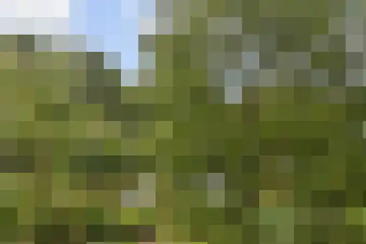De Brink 464 Den Haag thumbnail 32