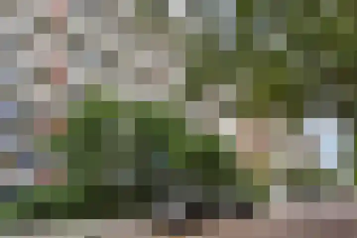De Brink 464 Den Haag thumbnail 33